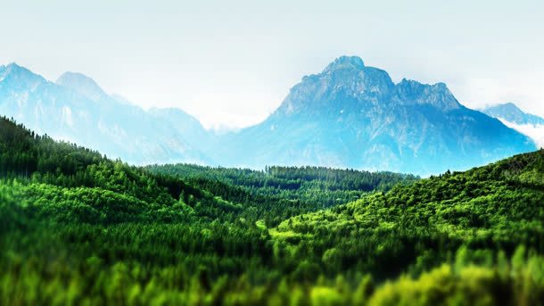 绿色山坡山脉海报背景背景
