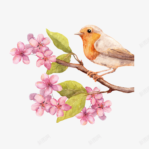 樱花春天艺术png免抠素材_新图网 https://ixintu.com 春天 樱花 素材 艺术