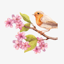 樱花春天艺术素材