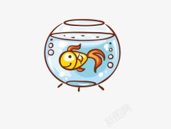 鱼缸中的红鱼鱼缸中的小金鱼高清图片