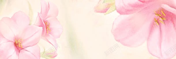 唯美花朵背景jpg设计背景_新图网 https://ixintu.com PSD格式 促销 唯美花朵 天猫海报 广告 梦幻花朵 活动 海报 淘宝促销 粉色 花朵