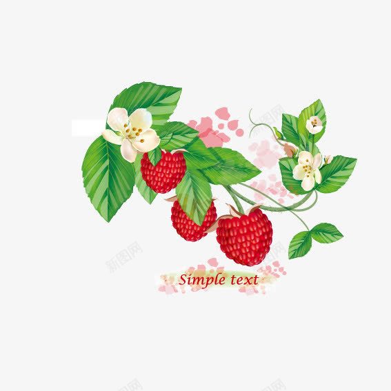 树莓果实png免抠素材_新图网 https://ixintu.com 果实 树莓 水果
