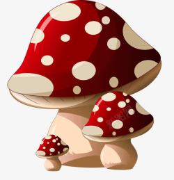 三个蘑菇三个小蘑菇高清图片