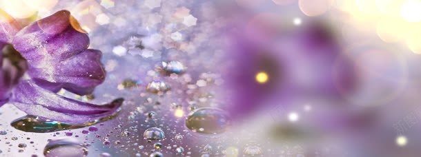 梦幻紫色花朵背景jpg设计背景_新图网 https://ixintu.com 化妆品 化妆品设计 梦幻 紫色 花朵