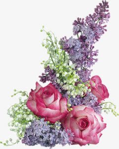 白色满天星紫色粉色花朵png免抠素材_新图网 https://ixintu.com 满天星 白色 粉色 紫色 花朵