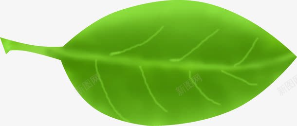创意合成了绿色手绘植物叶子png免抠素材_新图网 https://ixintu.com 创意 叶子 合成 植物 绿色
