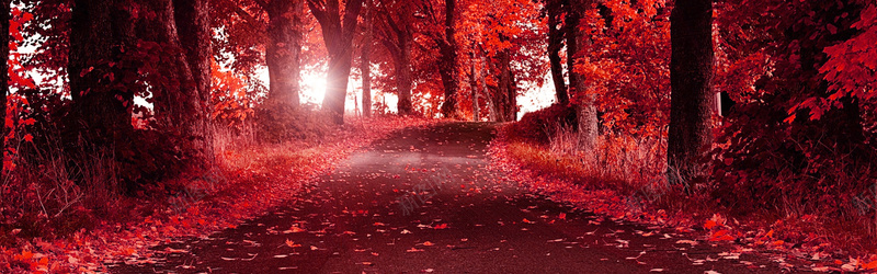 红色森林小路背景摄影图片