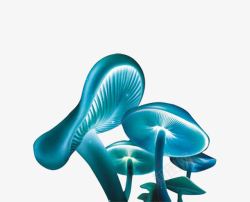 蓝色魔小蘑菇高清图片