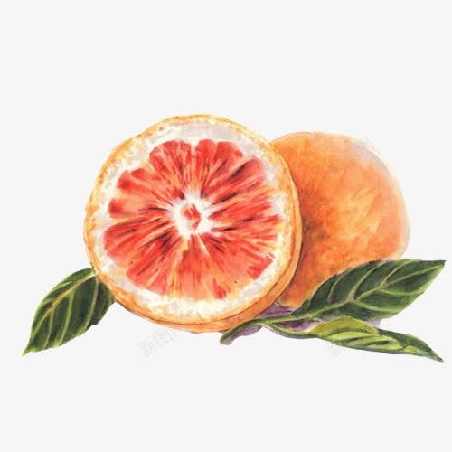 橙子水彩画片png免抠素材_新图网 https://ixintu.com 橙子 水彩手绘 水果 绿色叶子 酸甜