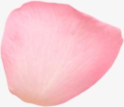 单片植物粉色花瓣素材