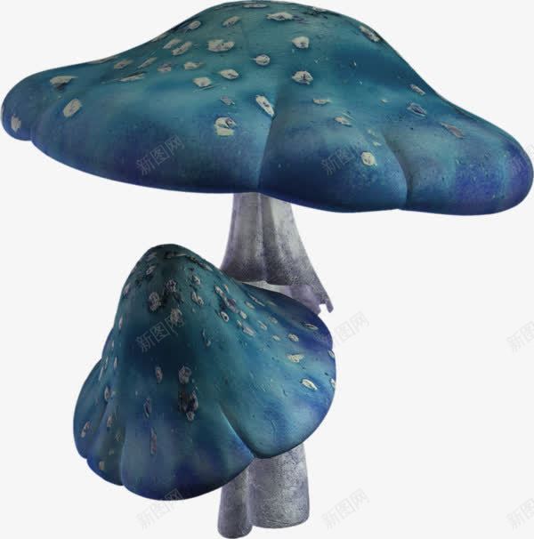 蓝色蘑菇png免抠素材_新图网 https://ixintu.com 菌 菌类 蘑菇 香菇