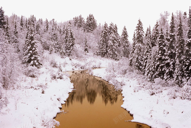 雪林里蜿蜒的江面png免抠素材_新图网 https://ixintu.com 树林 江水 江面 蜿蜒 雪 风景