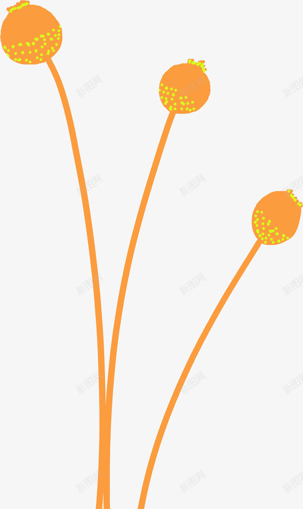 橙黄色独枝圆形花朵png免抠素材_新图网 https://ixintu.com 三枝 星点点 植物 橙黄色 花儿 花朵