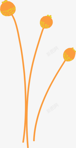 橙黄色独枝圆形花朵素材