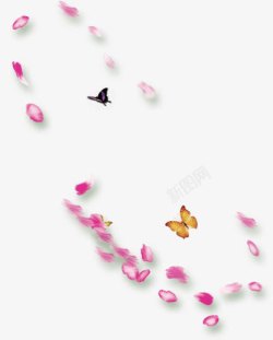 花瓣与蝴蝶素材