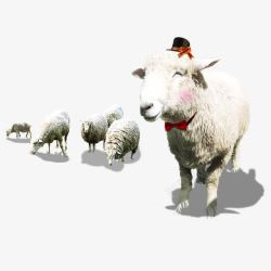 带围巾的羊带礼帽的羊高清图片
