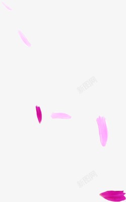 飘落的粉紫色花瓣素材
