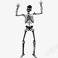 骷髅png免抠素材_新图网 https://ixintu.com 万圣节 人 装饰 走路的骷髅人 骨头 骷髅