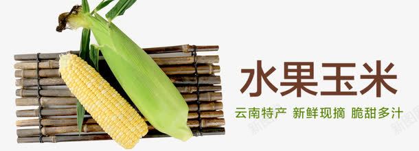 水果玉米png免抠素材_新图网 https://ixintu.com 产品实物 玉米 甜 竹排 鲜美多汁