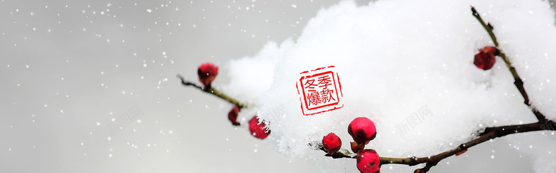 冬季淘宝女装羽绒服梅花雪景背景bannerpsd设计背景_新图网 https://ixintu.com banner 中国风 冬季 女装 梅花 海报banner 淘宝 羽绒服 背景 雪景