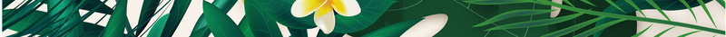 热带植物八哥party海报背景矢量图ai设计背景_新图网 https://ixintu.com 八哥 卡通 手绘 植物海报 植物素材 植物背景 海报素材 热带 童趣 背景 矢量图