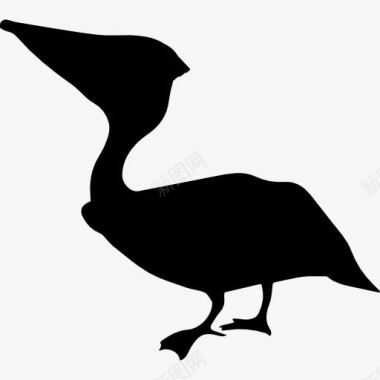 蛇鹈鸟的轮廓图标图标