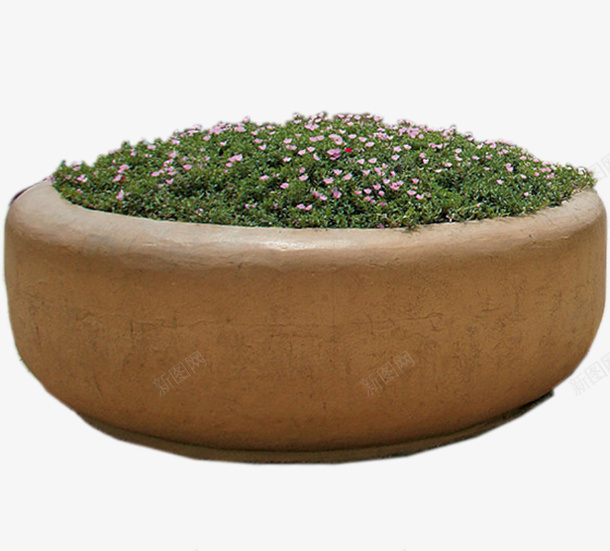 石缸中的绿色植物和花png免抠素材_新图网 https://ixintu.com 实物 植物 石缸 绿色 花