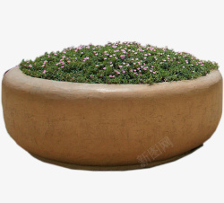 石缸石缸中的绿色植物和花高清图片