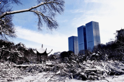 新疆红山雪景素材