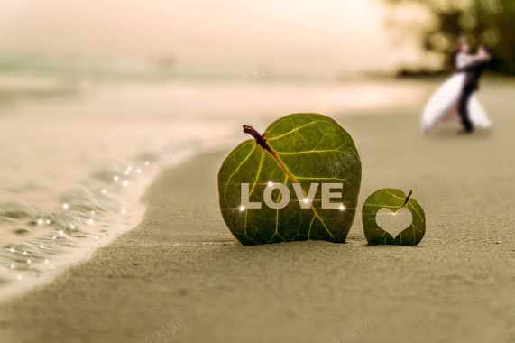 看风景的情侣浪漫沙滩绿色树叶示爱背景摄影图片