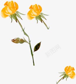 水彩画黄色花朵png免抠素材_新图网 https://ixintu.com 植物 水彩画 花卉 花朵 黄色