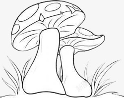 小蘑菇简笔画简笔画小蘑菇图标高清图片