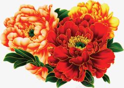 手绘创意合成海棠花素材