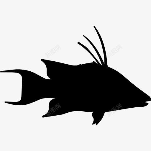 鱼猪鱼形图标png_新图网 https://ixintu.com 侧视图 动物 动物王国 形状 猪鱼 轮廓 鱼 鱼类