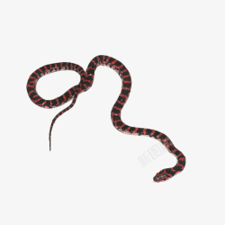 蛇插画中国风水墨赤炼蛇高清图片