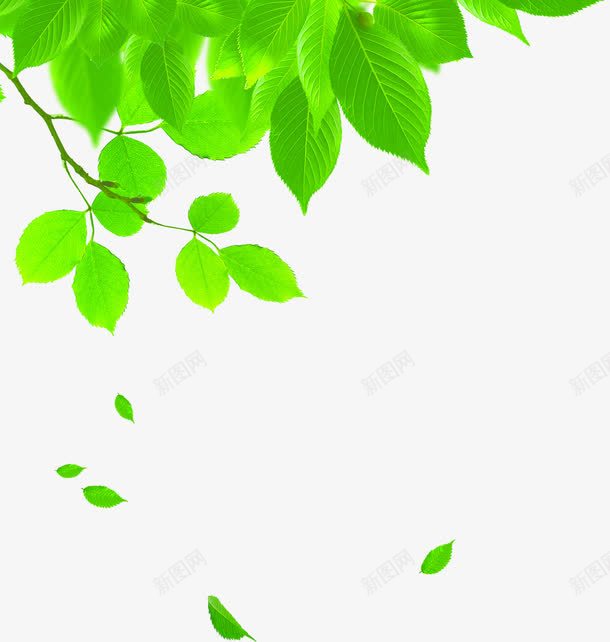 创意元素绿色植物树叶png免抠素材_新图网 https://ixintu.com 元素 创意 树叶 绿色植物