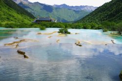 黄龙景点四川黄龙风景区高清图片