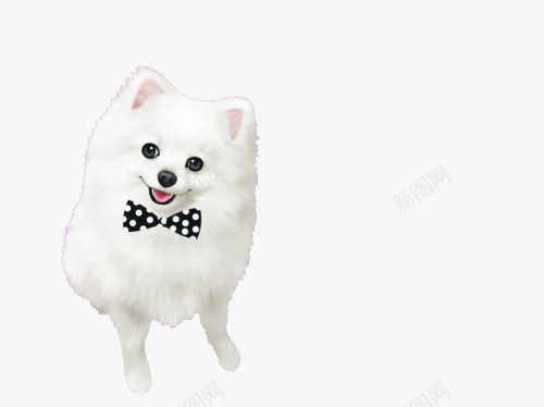 博美卡通png免抠素材_新图网 https://ixintu.com 博美 卡通 手绘 萌
