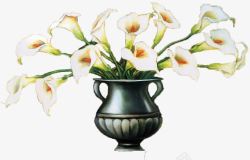 花瓶中复古花瓶中的白色马蹄莲高清图片