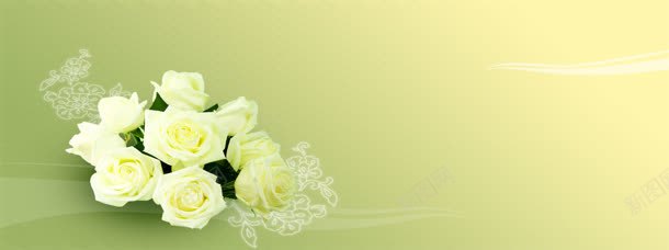 白色玫瑰背景jpg设计背景_新图网 https://ixintu.com 白色玫瑰 绿色背景