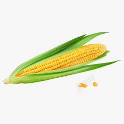 玉米叶卡通手绘一个玉米高清图片