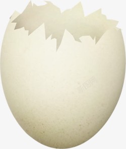 鸡蛋碎蛋壳装饰高清图片