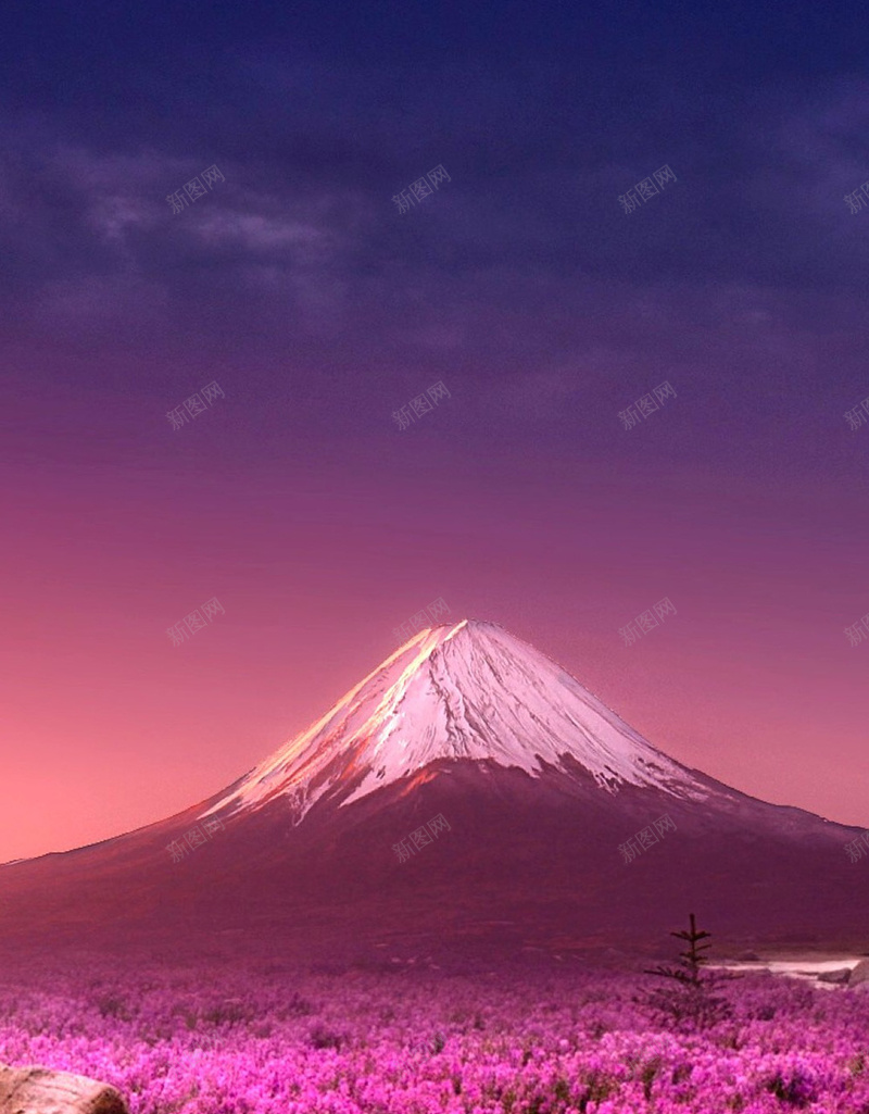 花海山峰背景jpg_新图网 https://ixintu.com 唯美 富士山 山 摄影 玫红色背景 玫红色花 美丽的富士山 背景 花 花卉 花海 风景