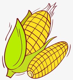 矢量玉米玉米玉米叶高清图片
