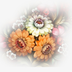 羽化花卉高清图片