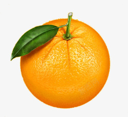 清新橙子图案素材