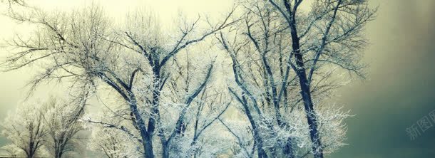 雪树背景