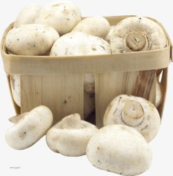 一筐白蘑菇素材