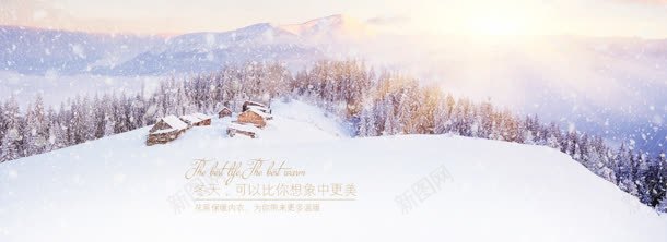 天猫旗舰店花系jpg设计背景_新图网 https://ixintu.com 旗舰 素材