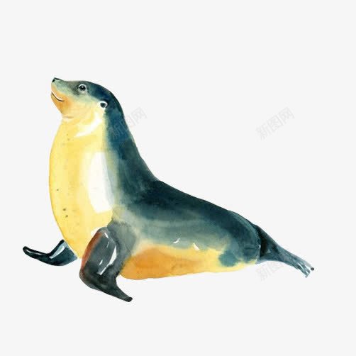 海豹卖萌手绘png免抠素材_新图网 https://ixintu.com 动物园 彩绘画图 海豹 表演